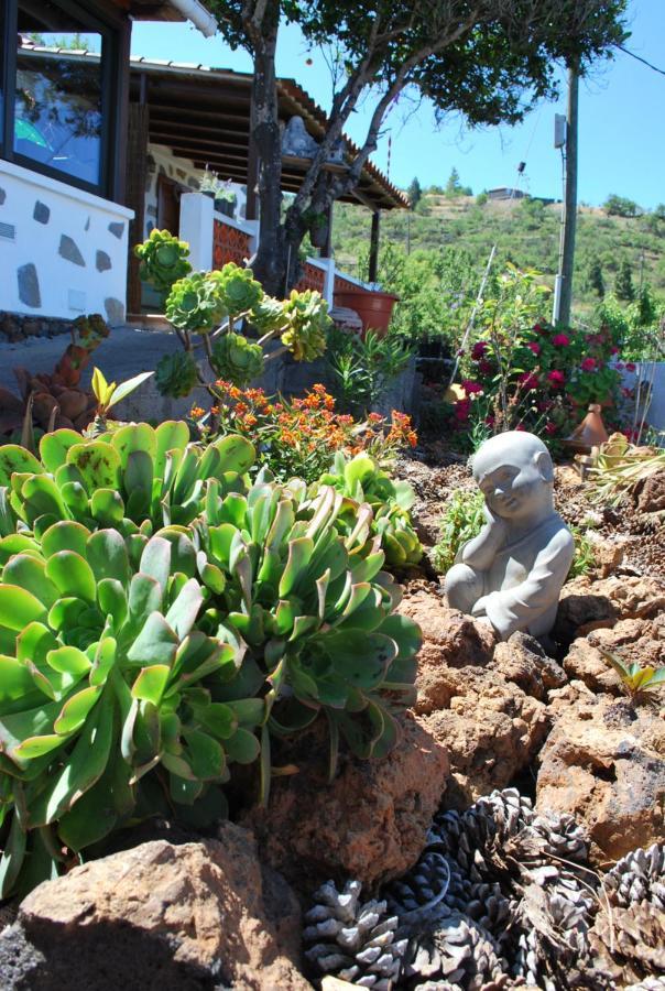 Casa Shanti La Palma Puntagorda Extérieur photo